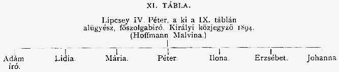 images/1893-94xw175.jpg